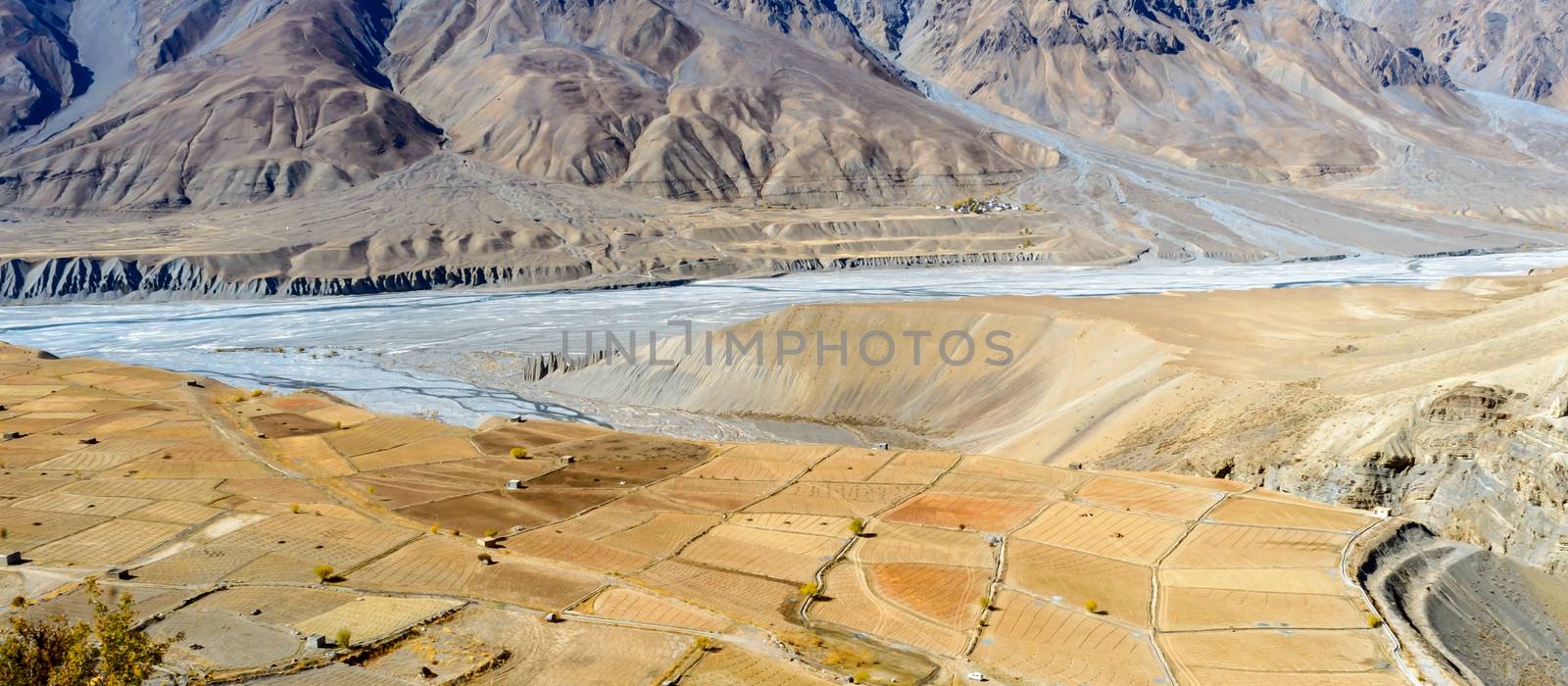 Barren Landscape panorama. Rice Terraces Cultivation field and agricultural farm land deep slope of Himalaya mountain Valley. Spiti river in background. Kaza town, Himachal Pradesh Hill State India. Aerial view