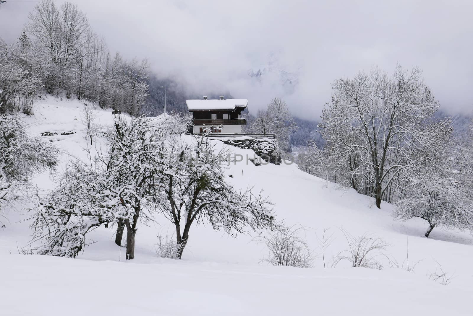 holiday at the foot of Mont Blanc in winter in the Chamonix Valley, France