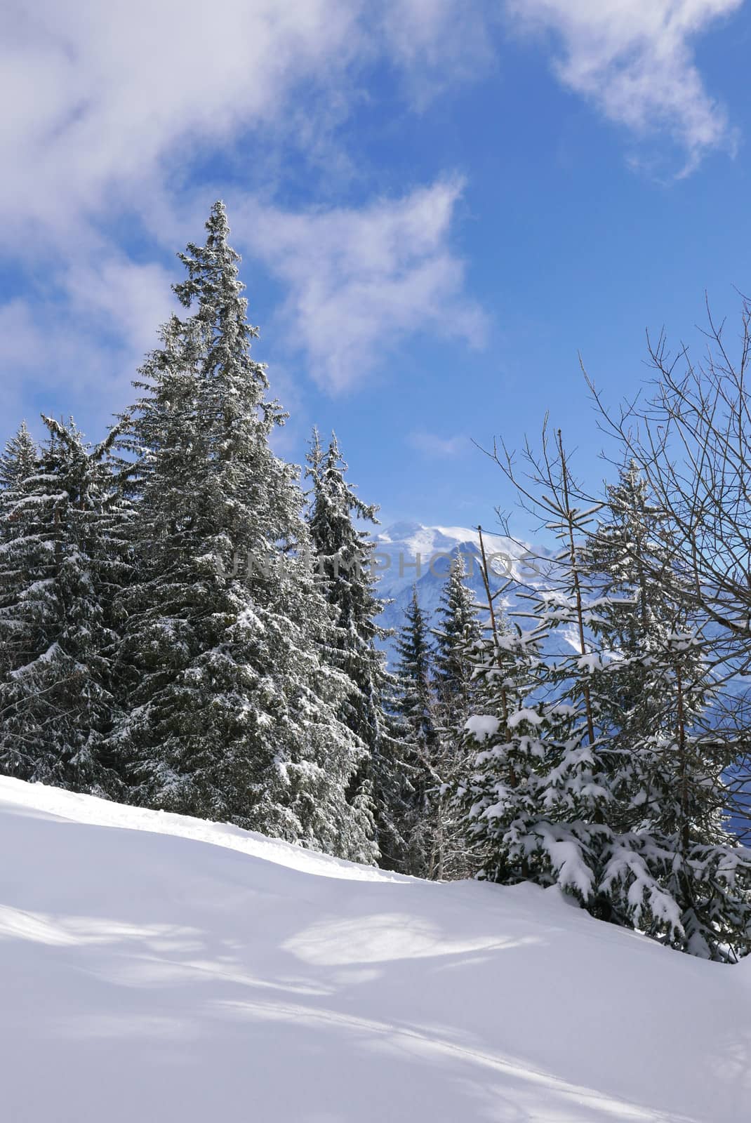 holiday at the foot of Mont Blanc in winter in the Chamonix Valley, France