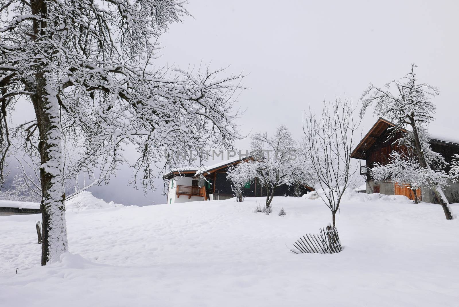 holiday at the foot of Mont Blanc in winter in the Chamonix Valley, France