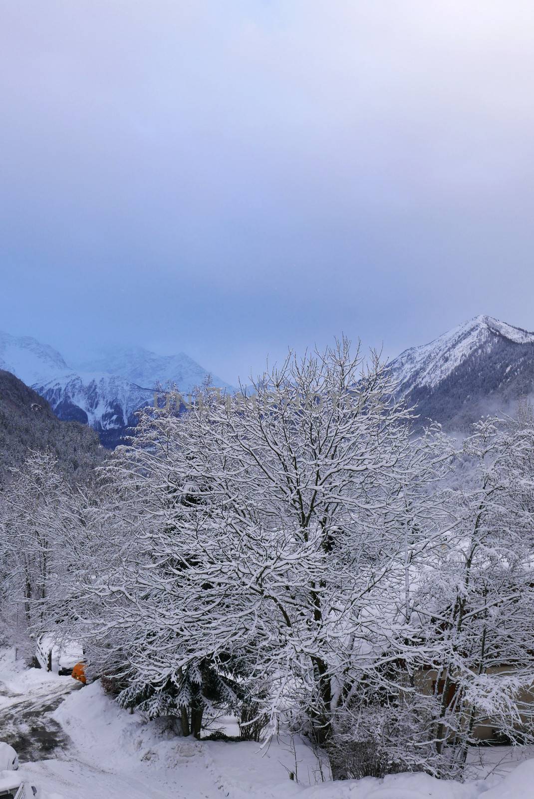 holiday at the foot of Mont Blanc in winter in the Chamonix Valley, France