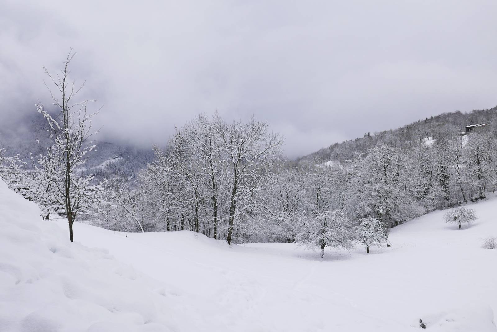 holiday at the foot of Mont Blanc, France by shovag