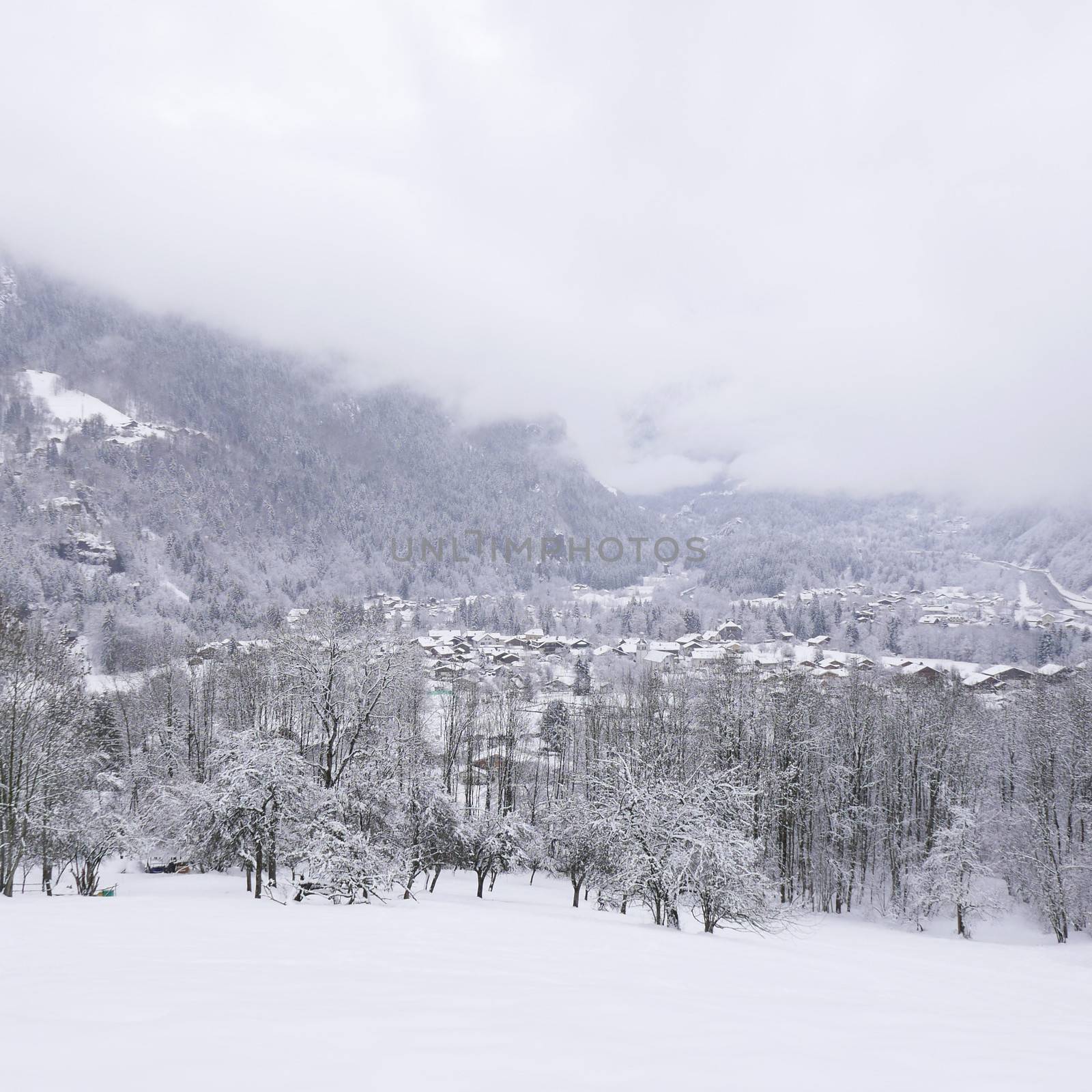 holiday at the foot of Mont Blanc in winter in the Chamonix Valley, France