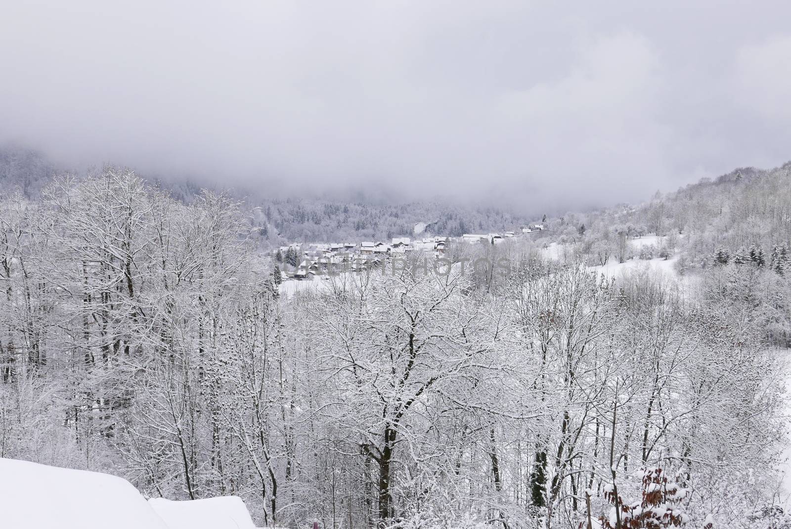 holiday at the foot of Mont Blanc in winter in the Chamonix Valley, France