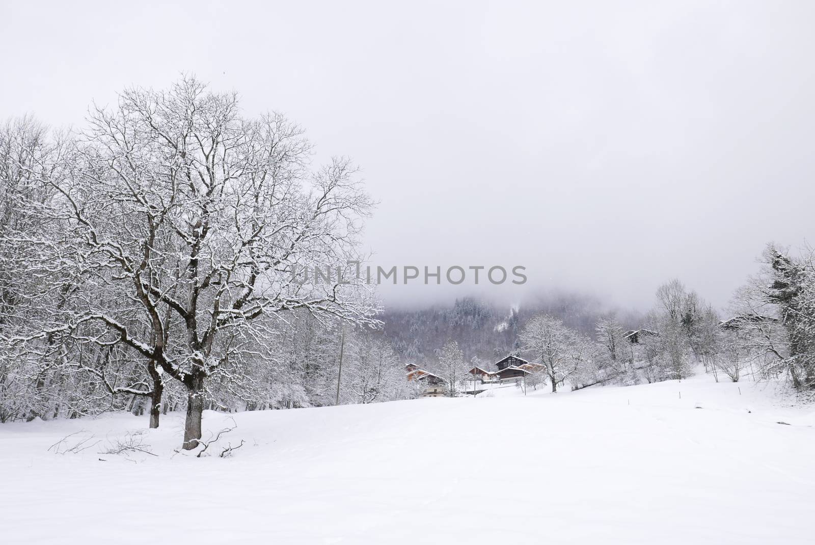 holiday at the foot of Mont Blanc in winter in the Chamonix Valley, France