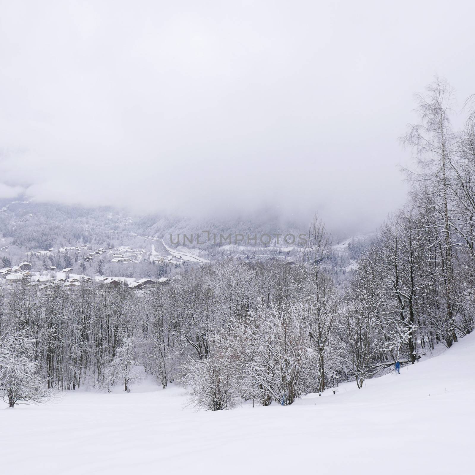 holiday at the foot of Mont Blanc in winter in the Chamonix Valley, France