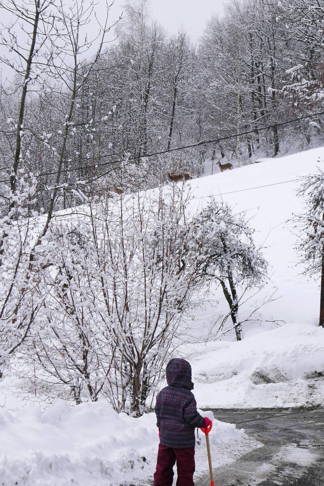 holiday at the foot of Mont Blanc in winter in the Chamonix Valley, France