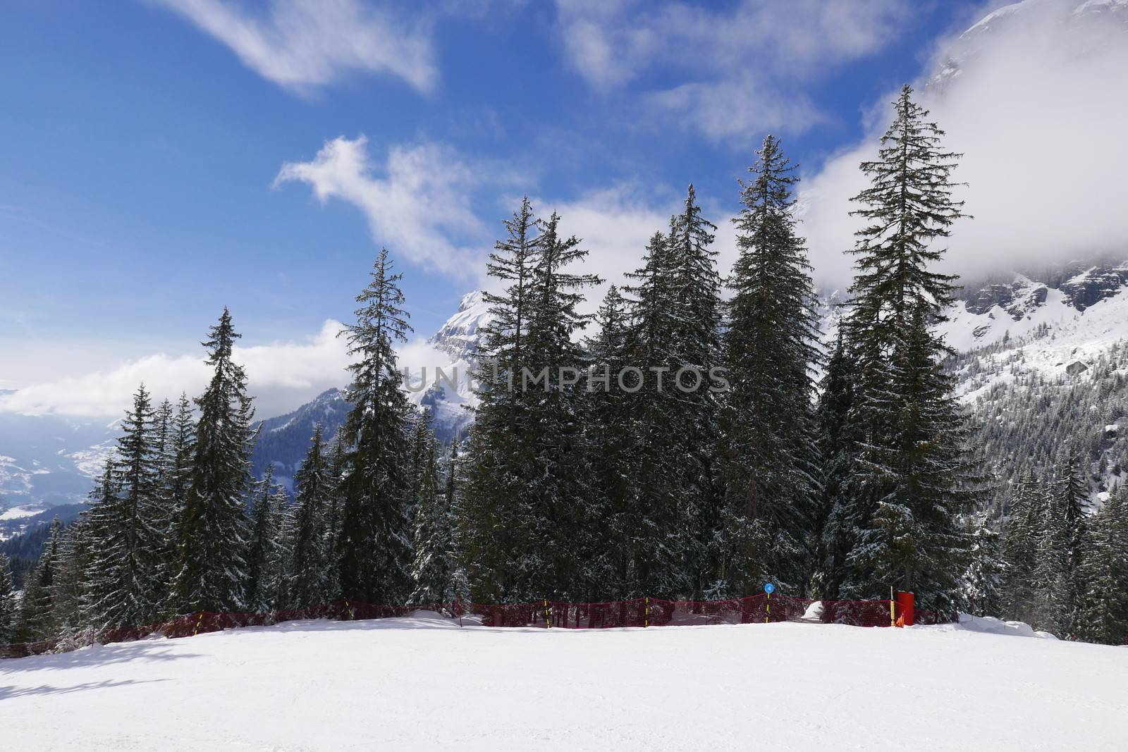 holiday at the foot of Mont Blanc in winter in the Chamonix Valley, France