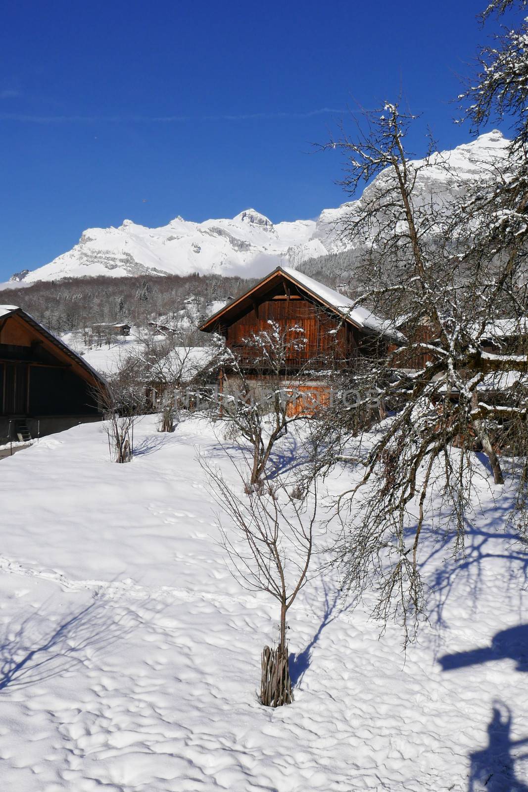 holiday at the foot of Mont Blanc in winter in the Chamonix Valley, France