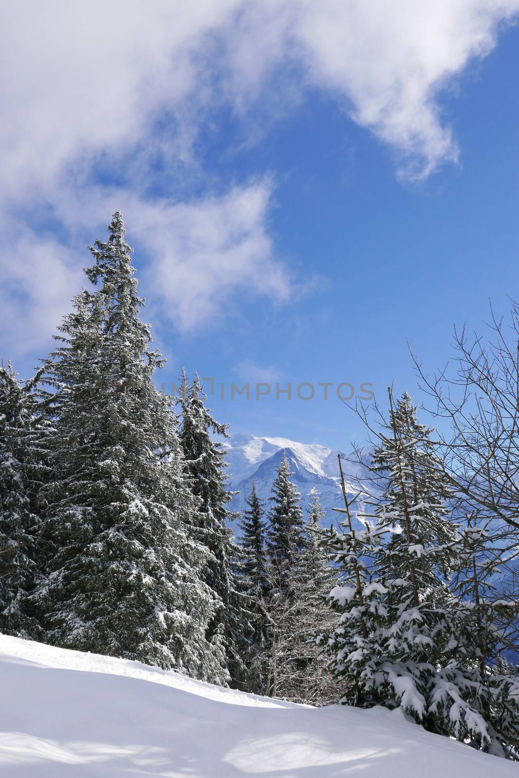 holiday at the foot of Mont Blanc in winter in the Chamonix Valley, France