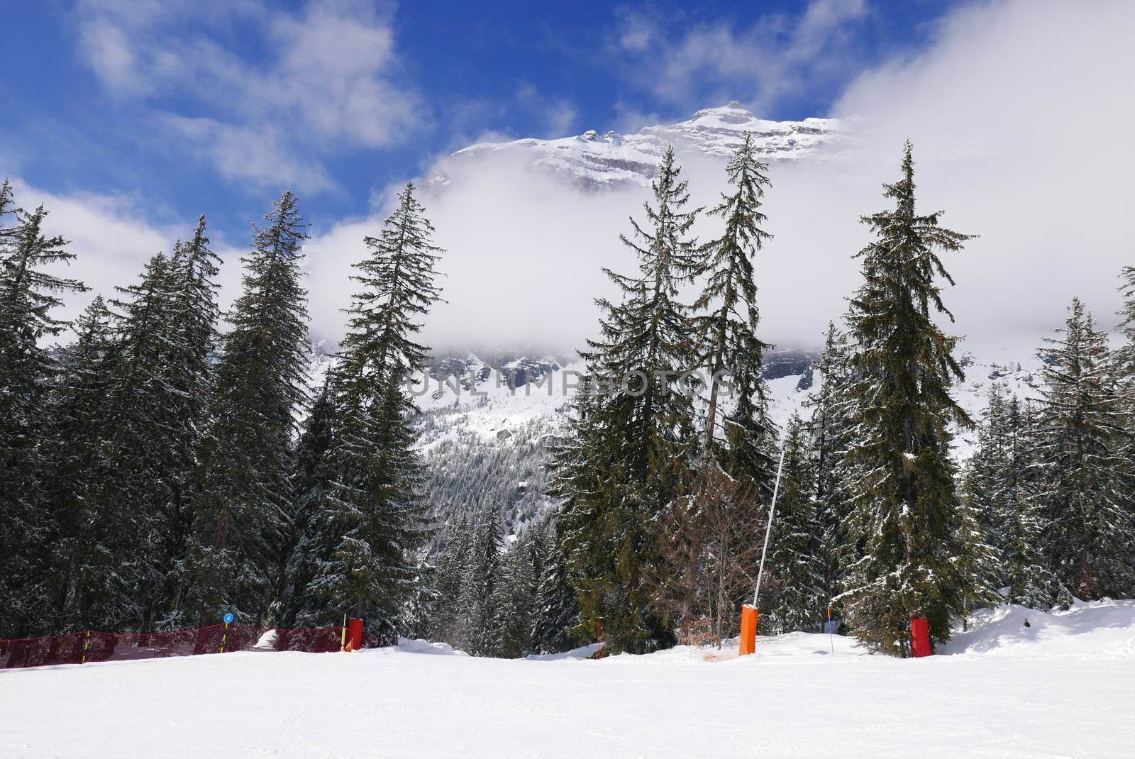 holiday at the foot of Mont Blanc, France by shovag