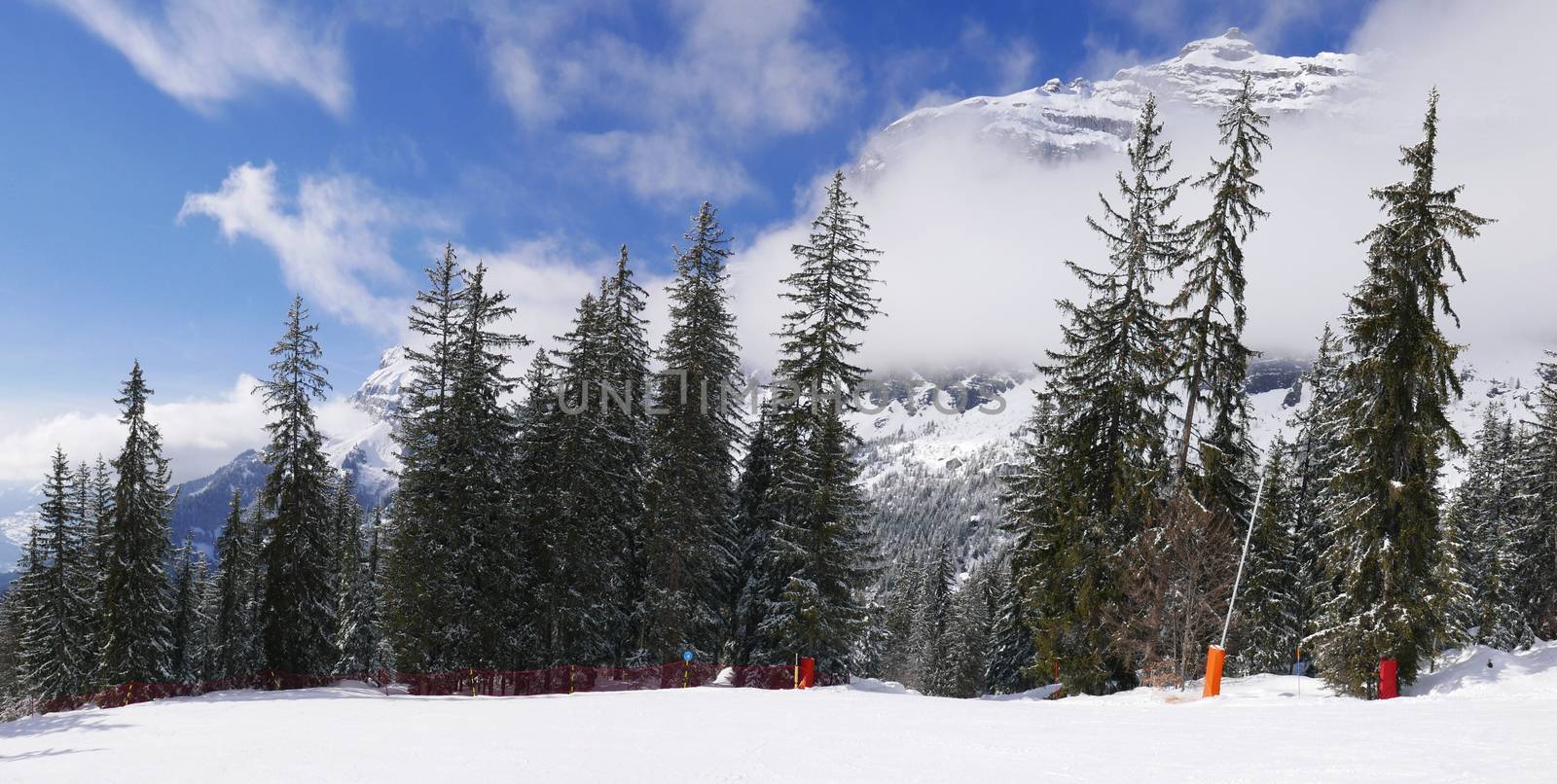 holiday at the foot of Mont Blanc in winter in the Chamonix Valley, France