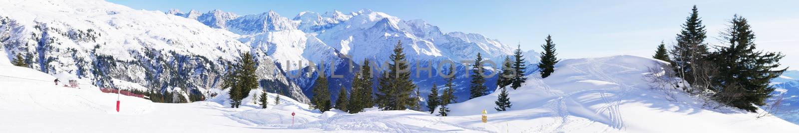 holiday at the foot of Mont Blanc in winter in the Chamonix Valley, France