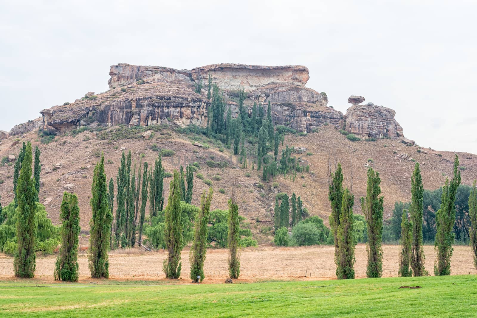 Landscape at Saint Fort near Clarens in the Free State Province. The Mushroom Rock is visible