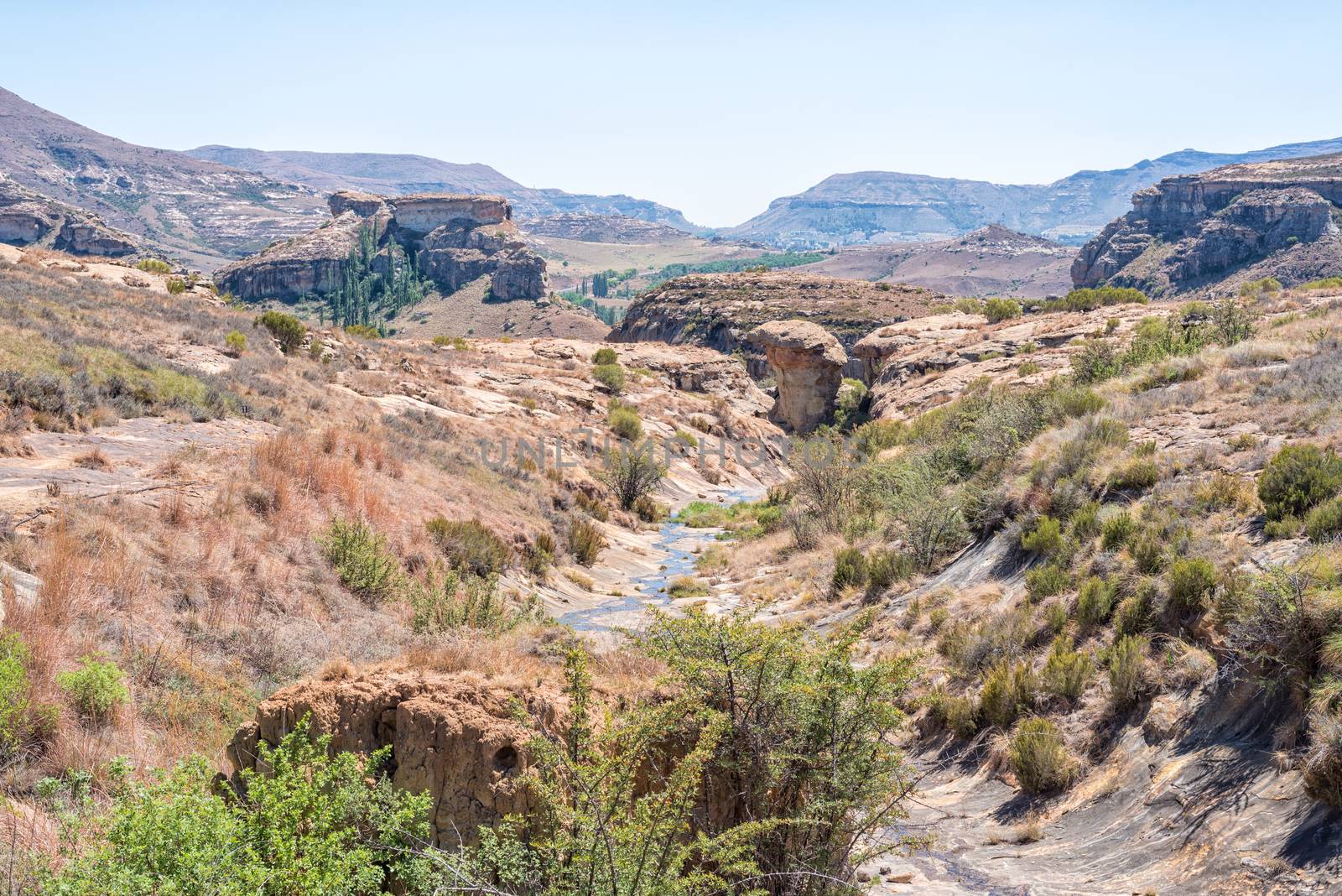 Landscape on the Cannibal Hiking Trail near Clarens by dpreezg