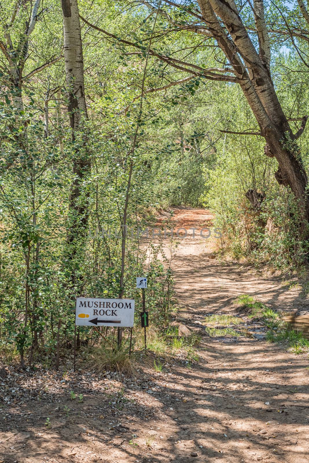 Trail to the mushroom rock on the Cannibal Hiking Trail near Clarens in the Free State Province