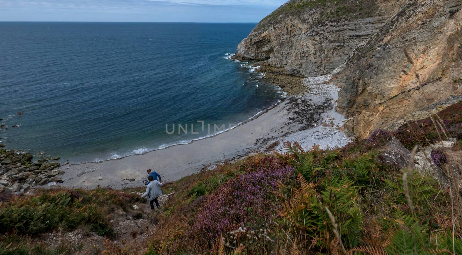 a landscape of Brittany in summer, France. sea, color of this region in summer