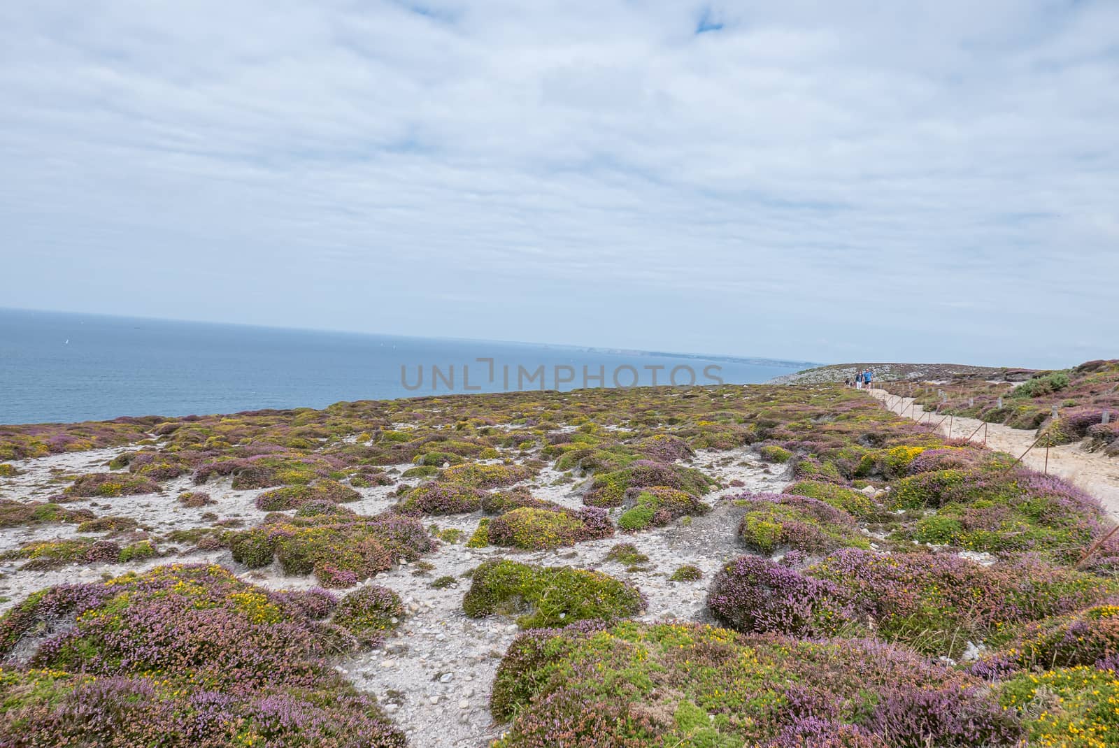 a landscape of Brittany in summer, France. sea, color of this region in summer