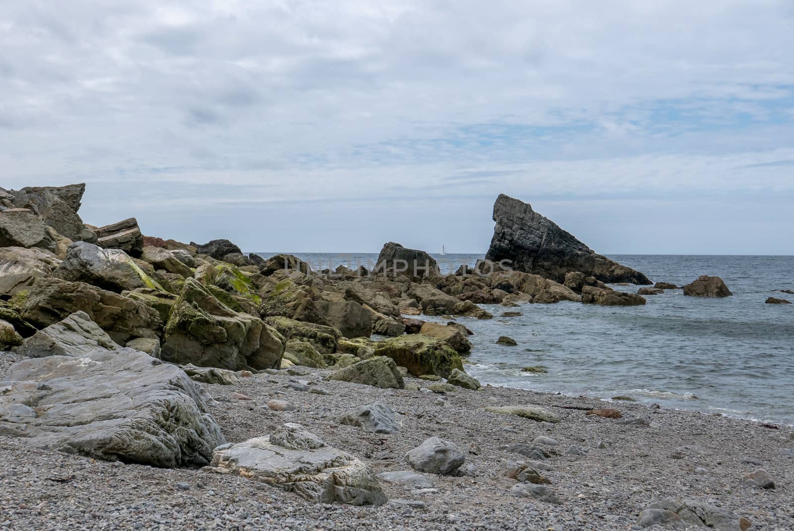 a landscape of Brittany in summer, France by shovag