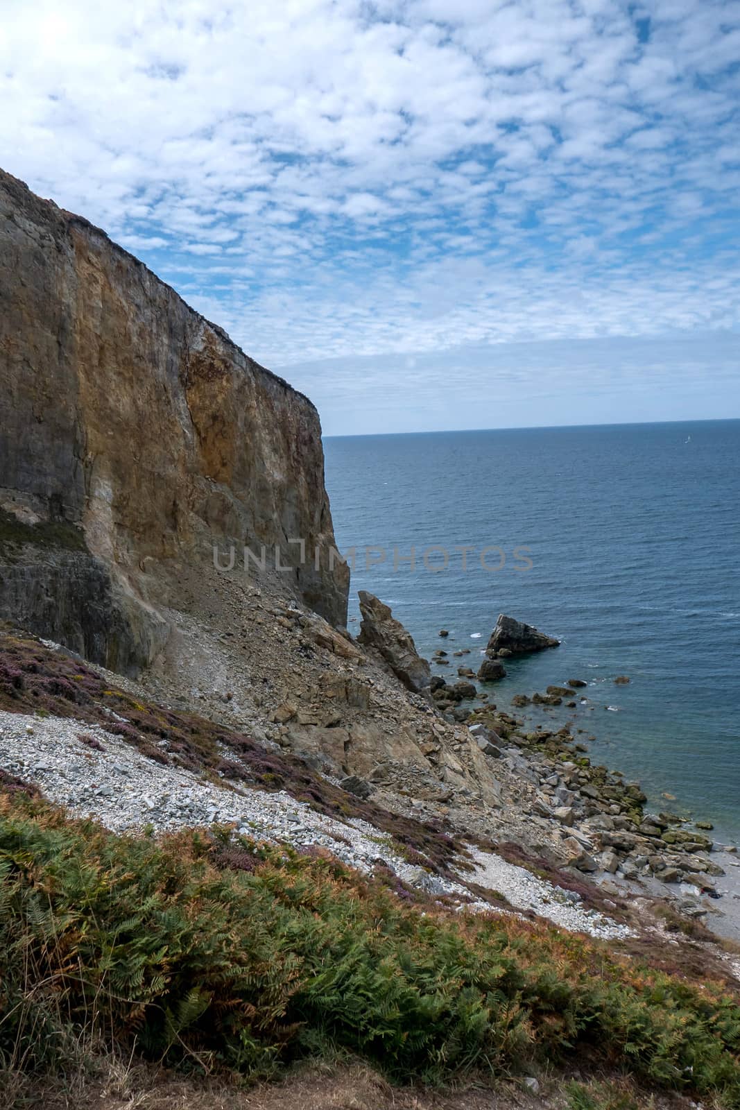 a landscape of Brittany in summer, France. sea, color of this region in summer