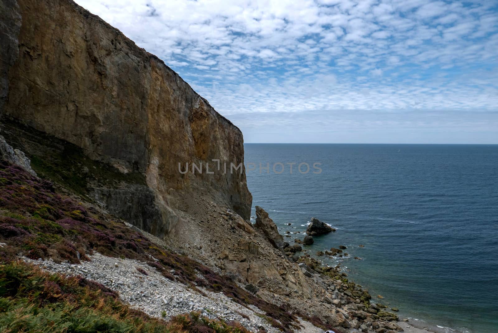 a landscape of Brittany in summer, France. sea, color of this region in summer