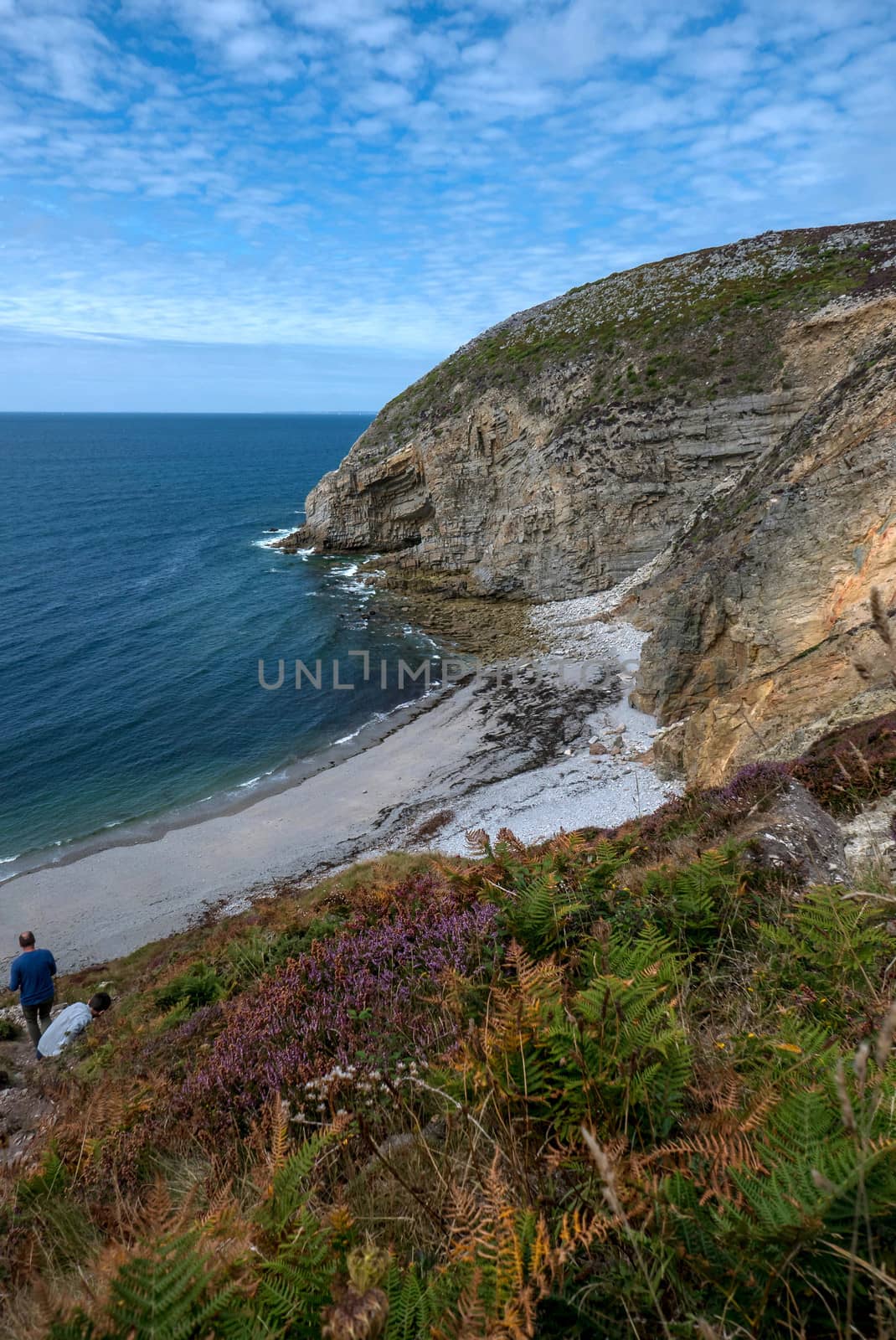 a landscape of Brittany in summer, France. sea, color of this region in summer