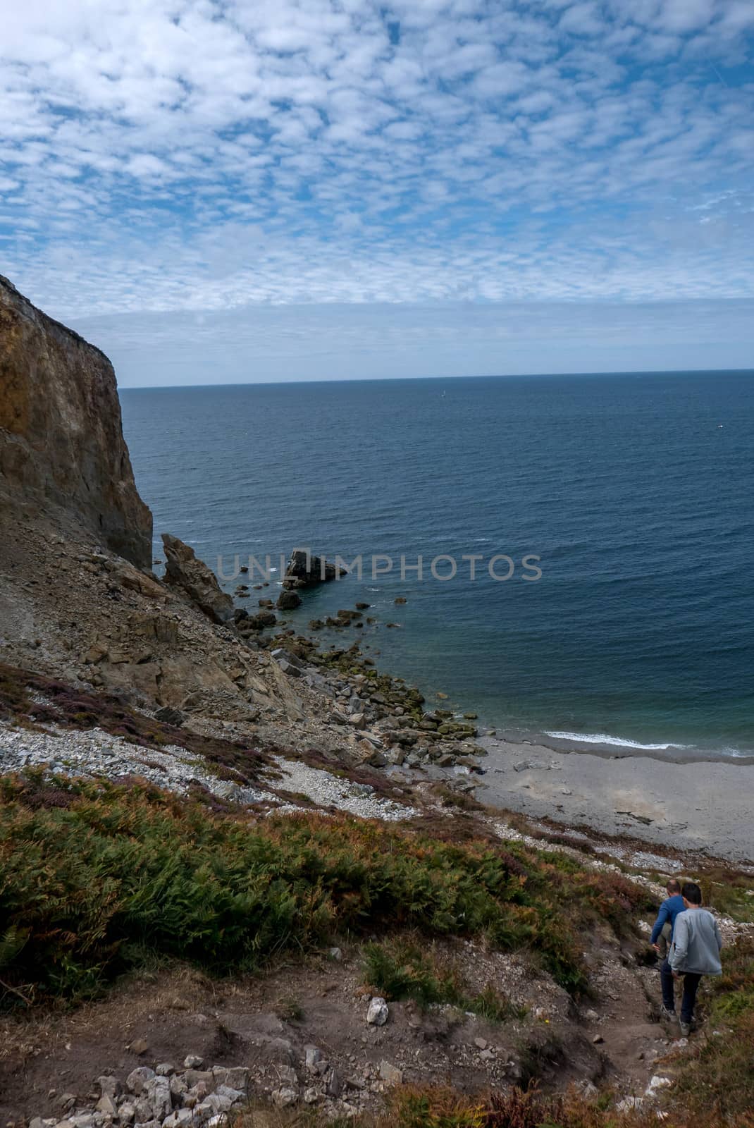 a landscape of Brittany in summer, France. sea, color of this region in summer