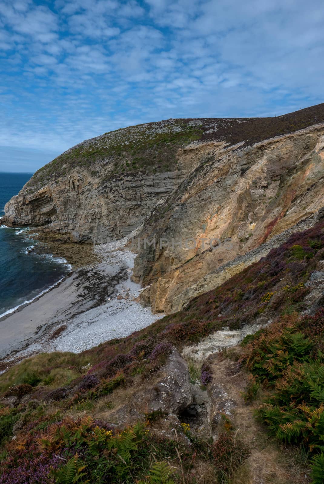 a landscape of Brittany in summer, France. sea, color of this region in summer