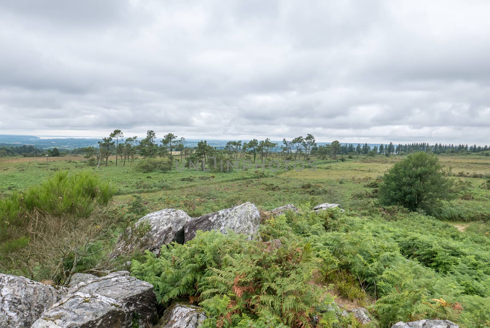 a landscape of Brittany in summer, France. sea, color of this region in summer