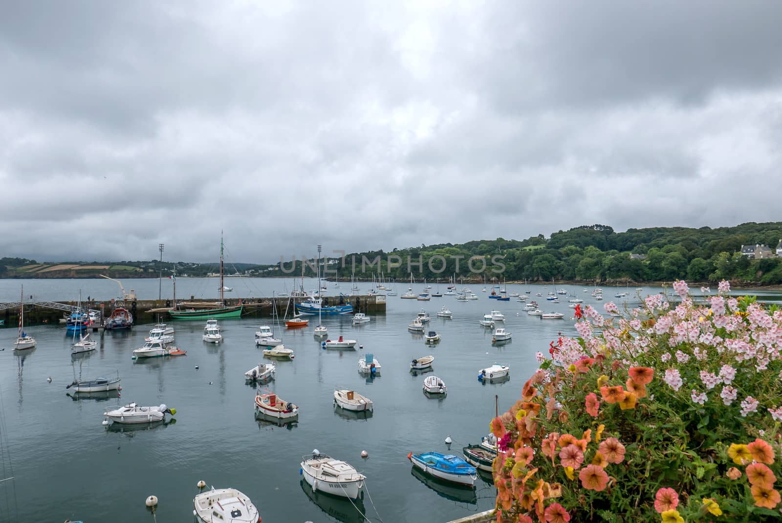 a landscape of Brittany in summer, France by shovag