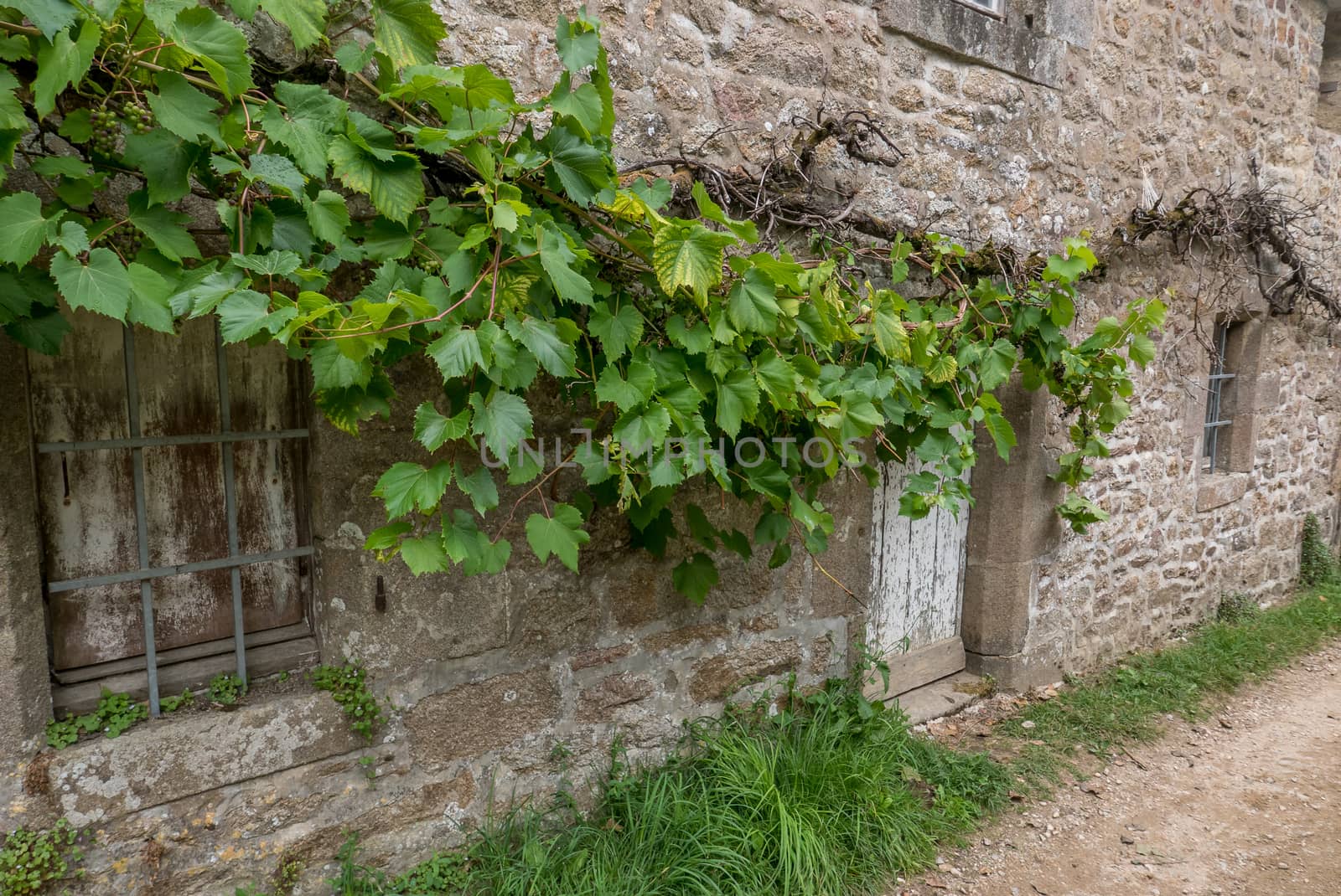 a landscape of Brittany in summer, France. sea, color of this region in summer