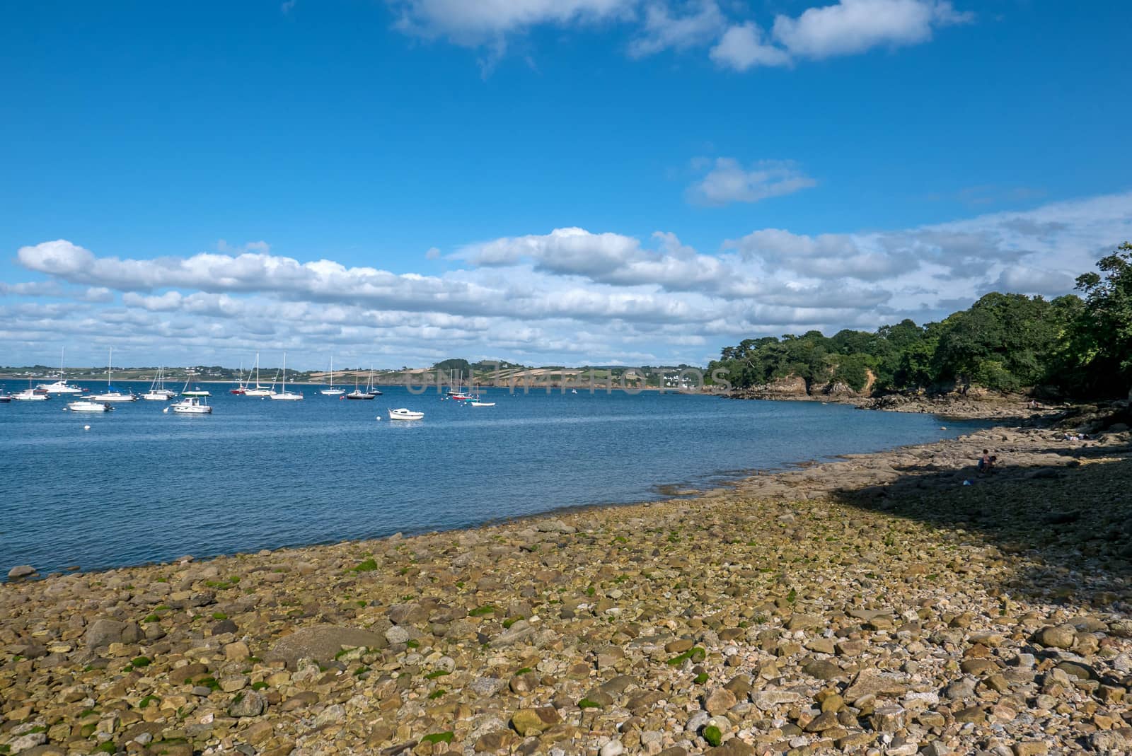 a landscape of Brittany in summer, France. sea, color of this region in summer