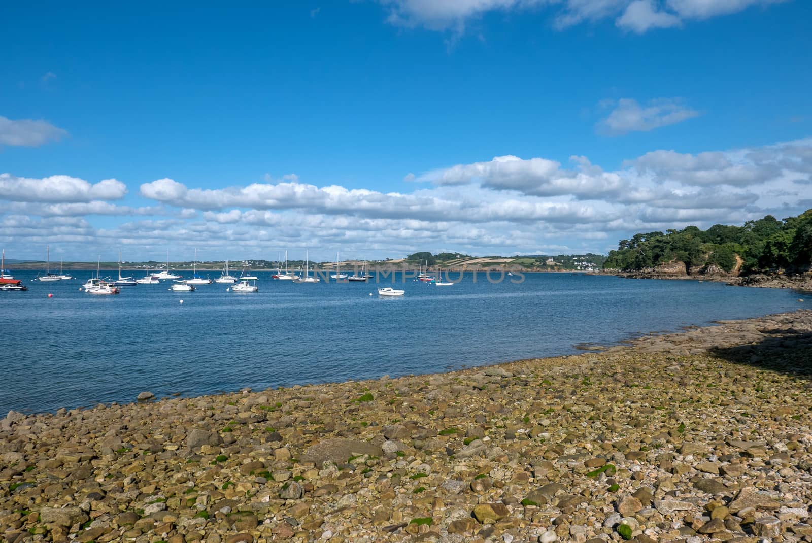 a landscape of Brittany in summer, France by shovag