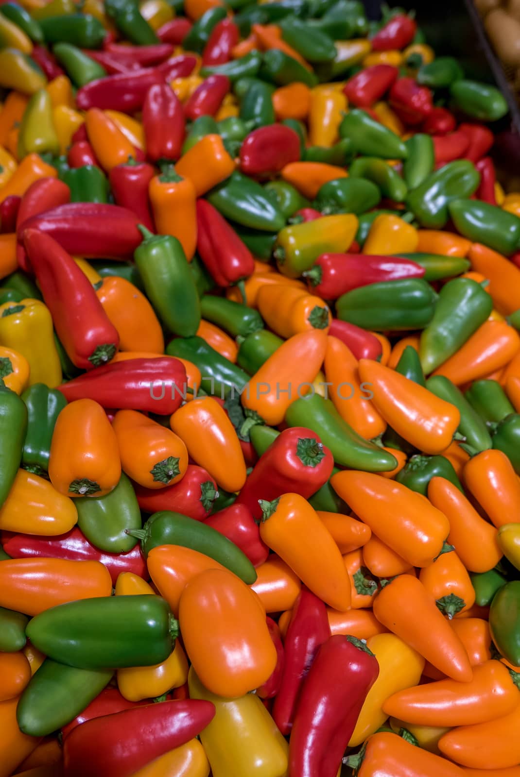 vegetables and condiments made of peppers and multicolored peppers on a stall