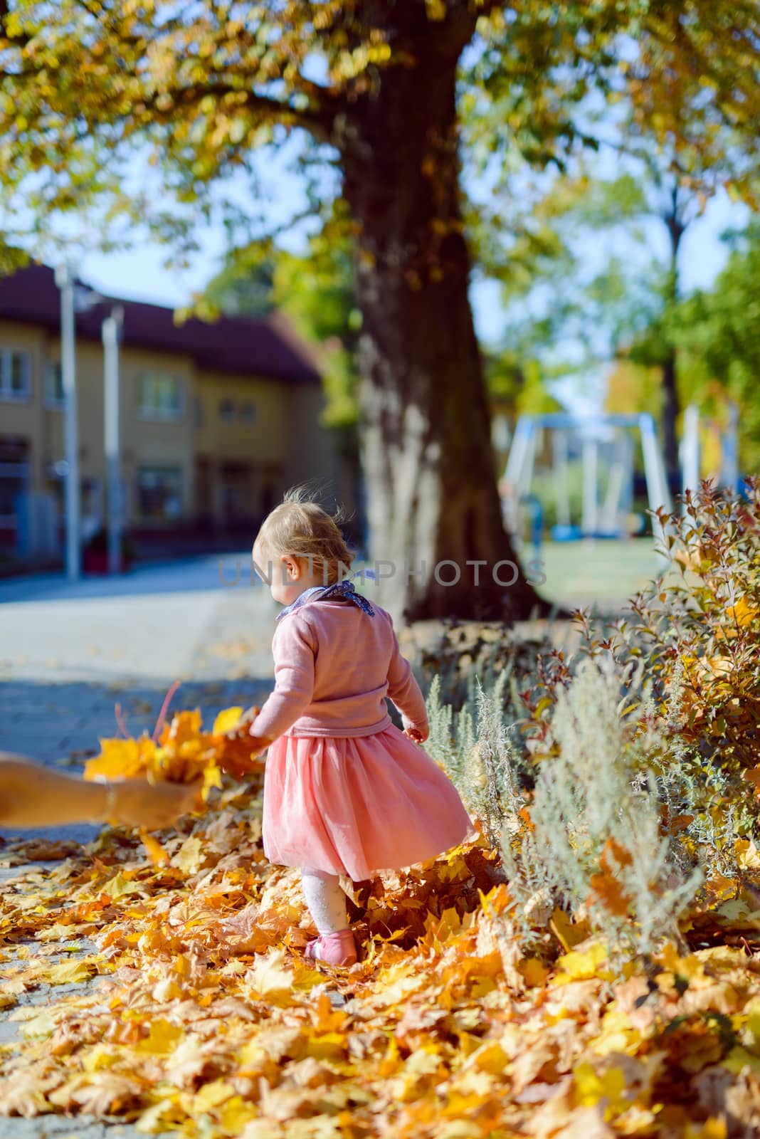 Adorable girl having fun on beautiful autumn day. authentic childhood image