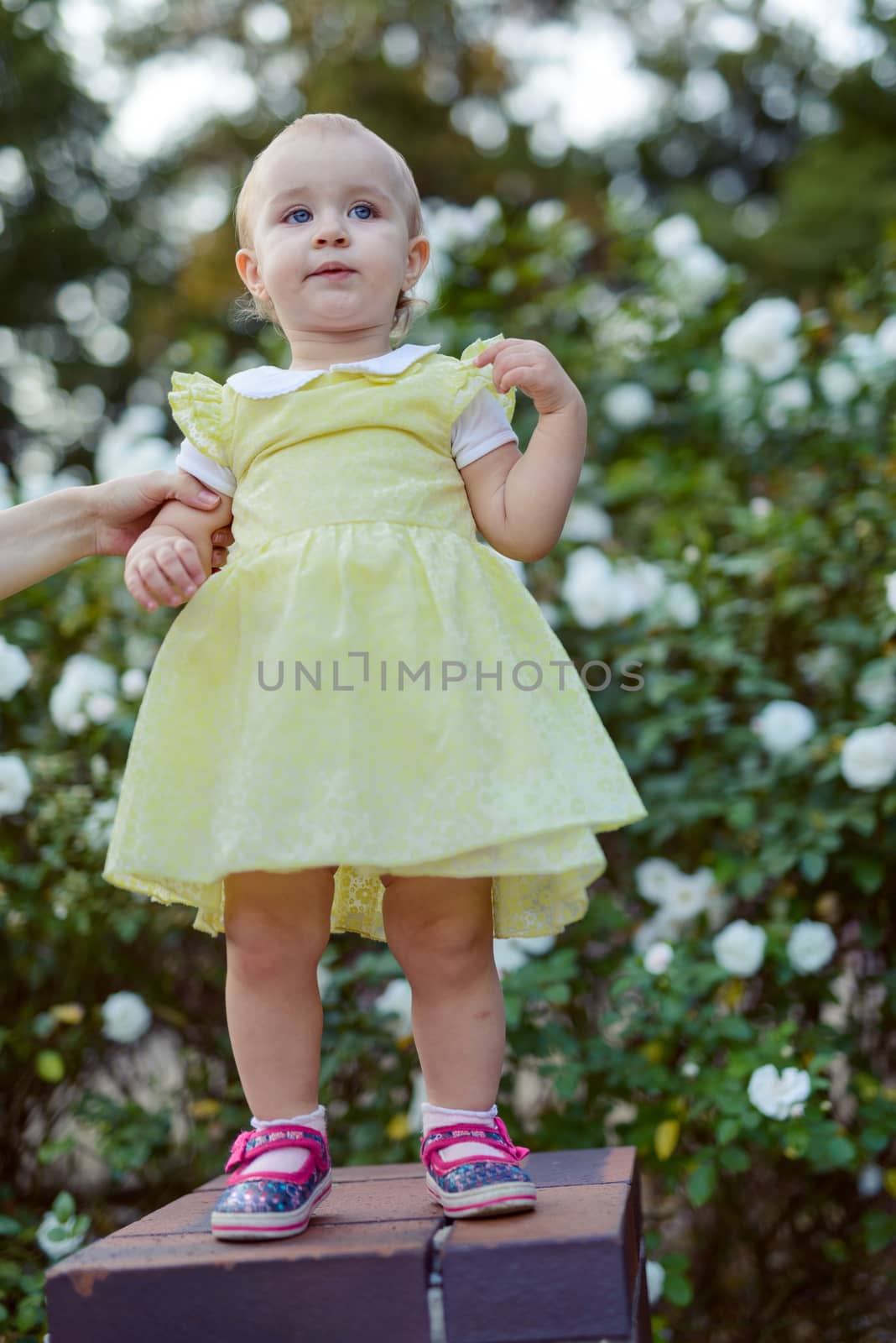 Smiling girl on the meadow looking right at camera. authentic image. Smell roses flowers