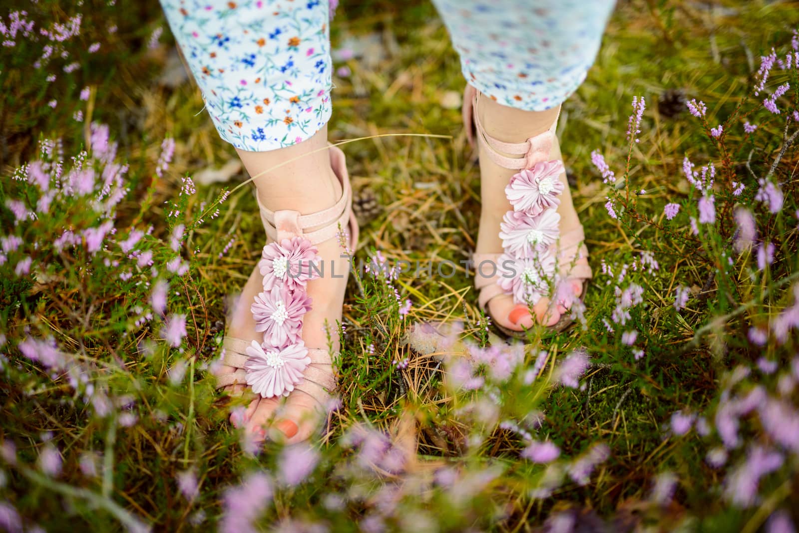 a photo of woman in the forest where the purple heather blooms. copy space. authentic image