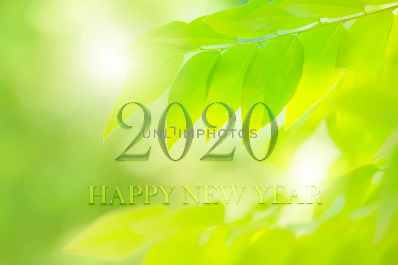 Happy New Year 2020 greeting card with fresh green leaf nature, number on Green leaves background,Nature eco concept,organic greeting card concept for 2020 green nature, use for Festival poster, banner, design Template, website, invitation