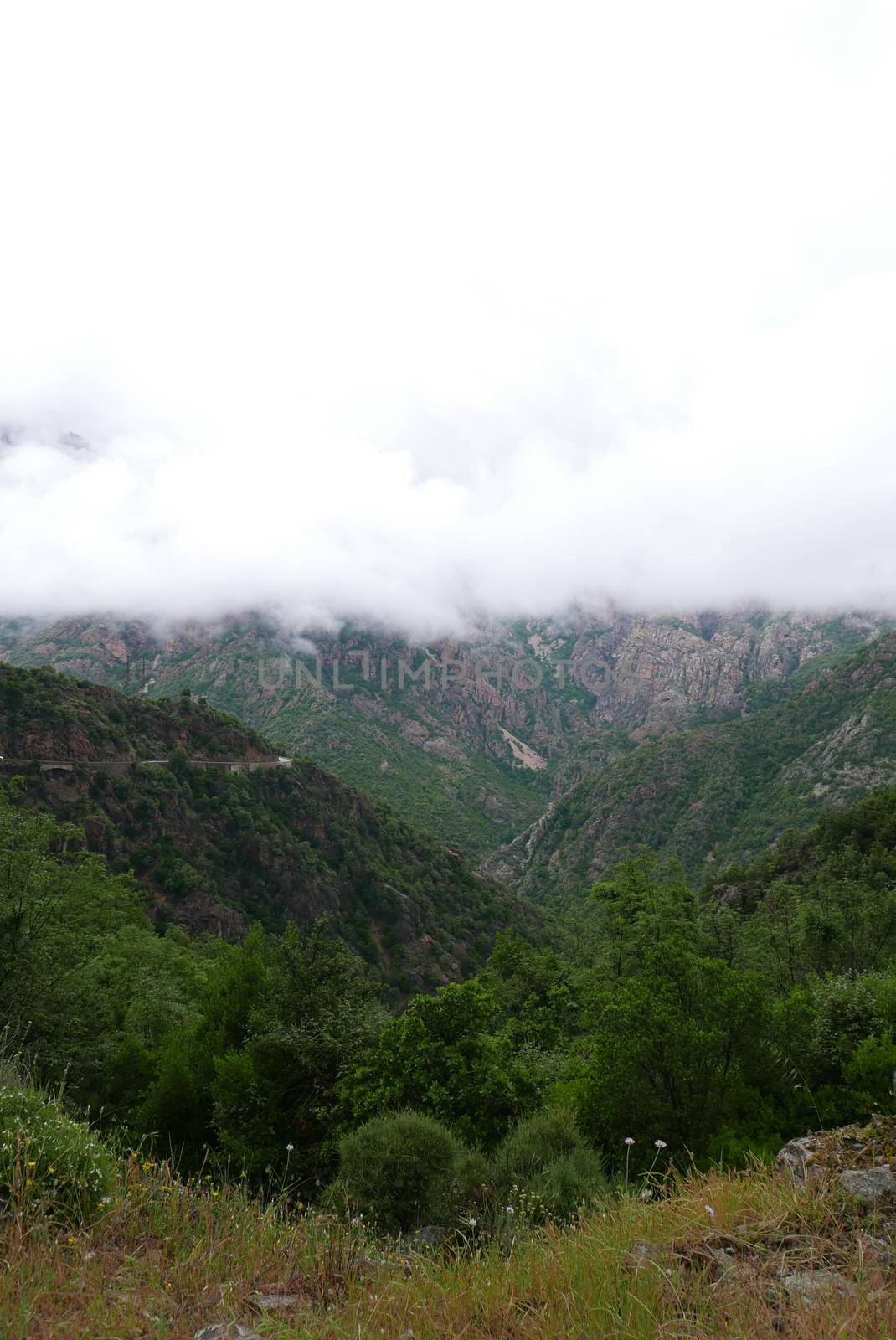 Holidays in southern Corsica.
Discover the mountain landscapes of this beautiful region of France