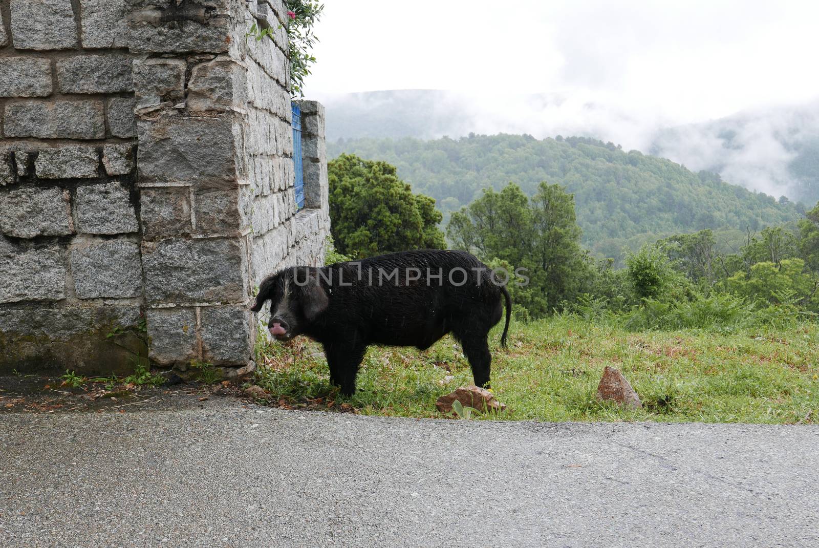 Holidays in southern Corsica.
Discover the mountain landscapes of this beautiful region of France