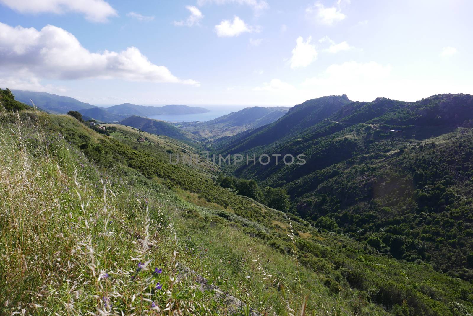 Holidays in southern Corsica.
Discovery of the Sanguinaires Islands, next to the city of Ajaccio