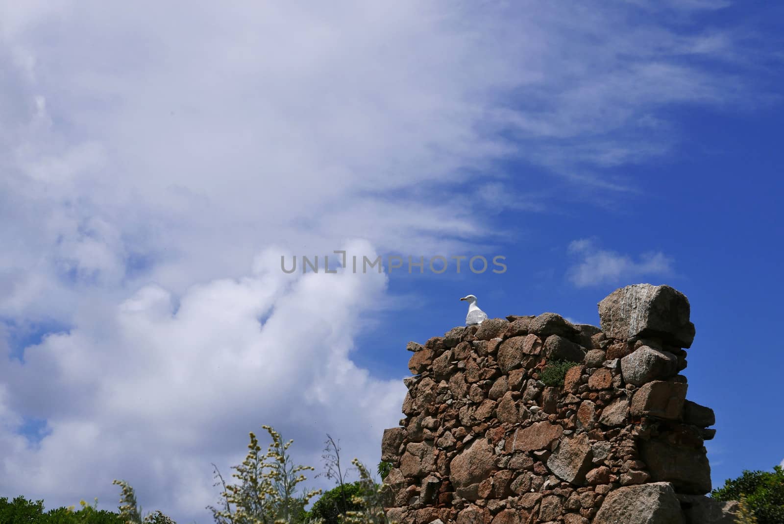 Holidays in southern Corsica.
Discovery of the Sanguinaires Islands, next to the city of Ajaccio