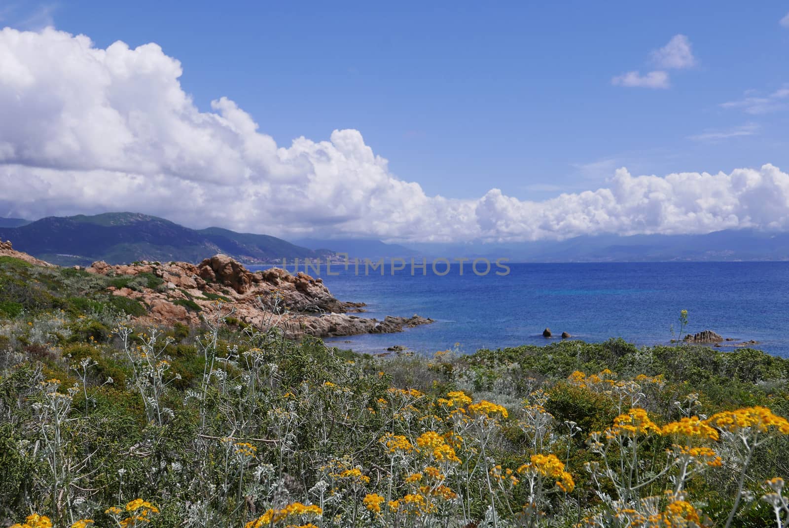 Holidays in southern Corsica.
Discovery of the Sanguinaires Islands, next to the city of Ajaccio