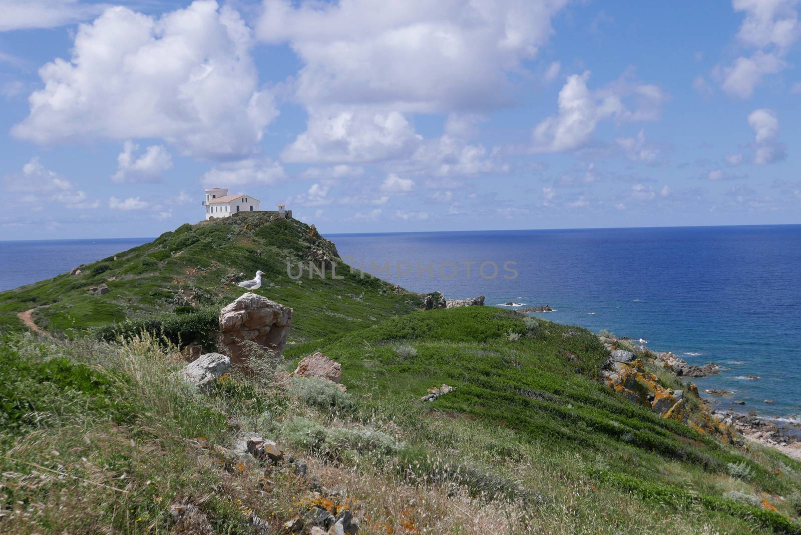 Holidays in southern Corsica.
Discovery of the Sanguinaires Islands, next to the city of Ajaccio
