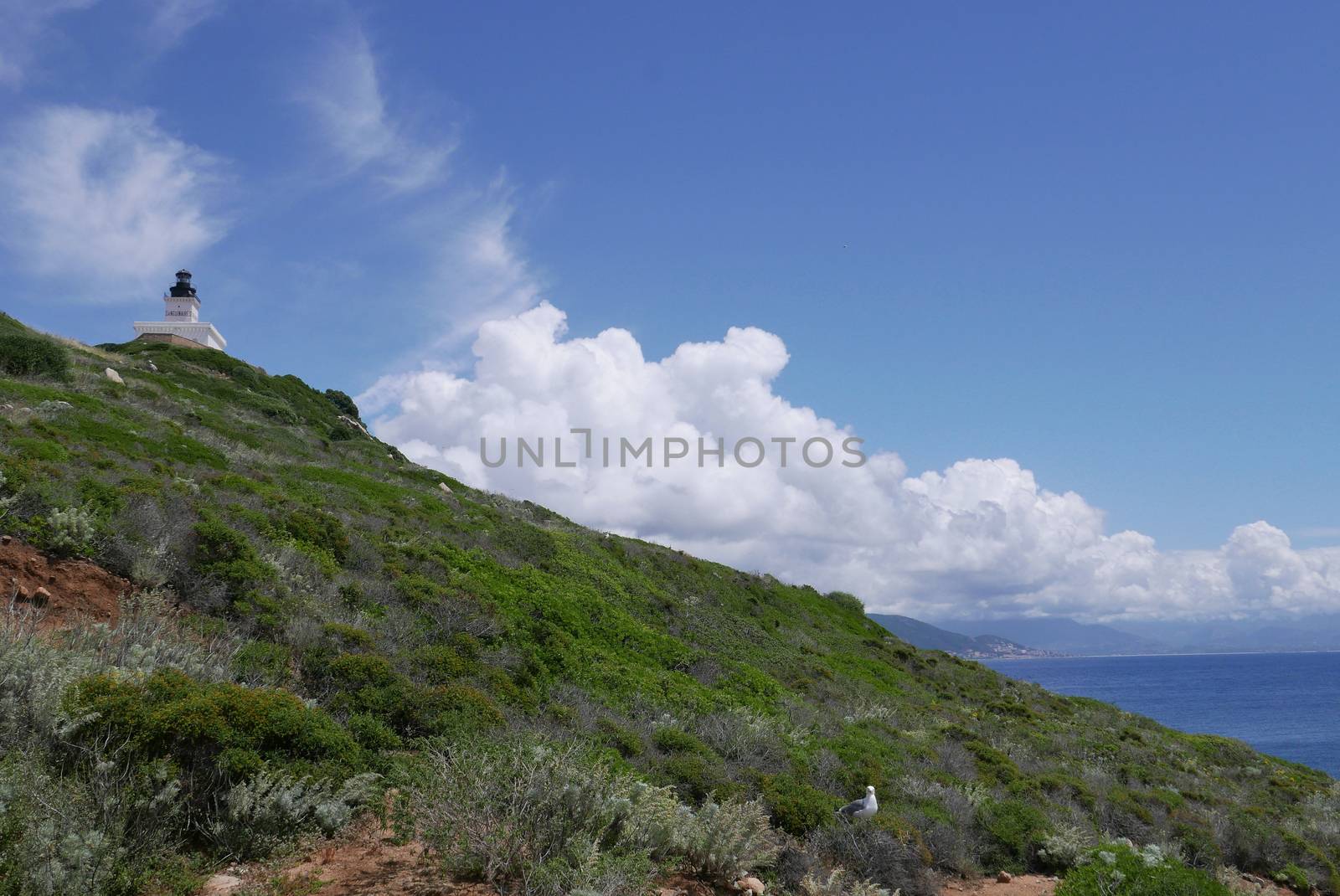 Holidays in southern Corsica.
Discovery of the Sanguinaires Islands, next to the city of Ajaccio
