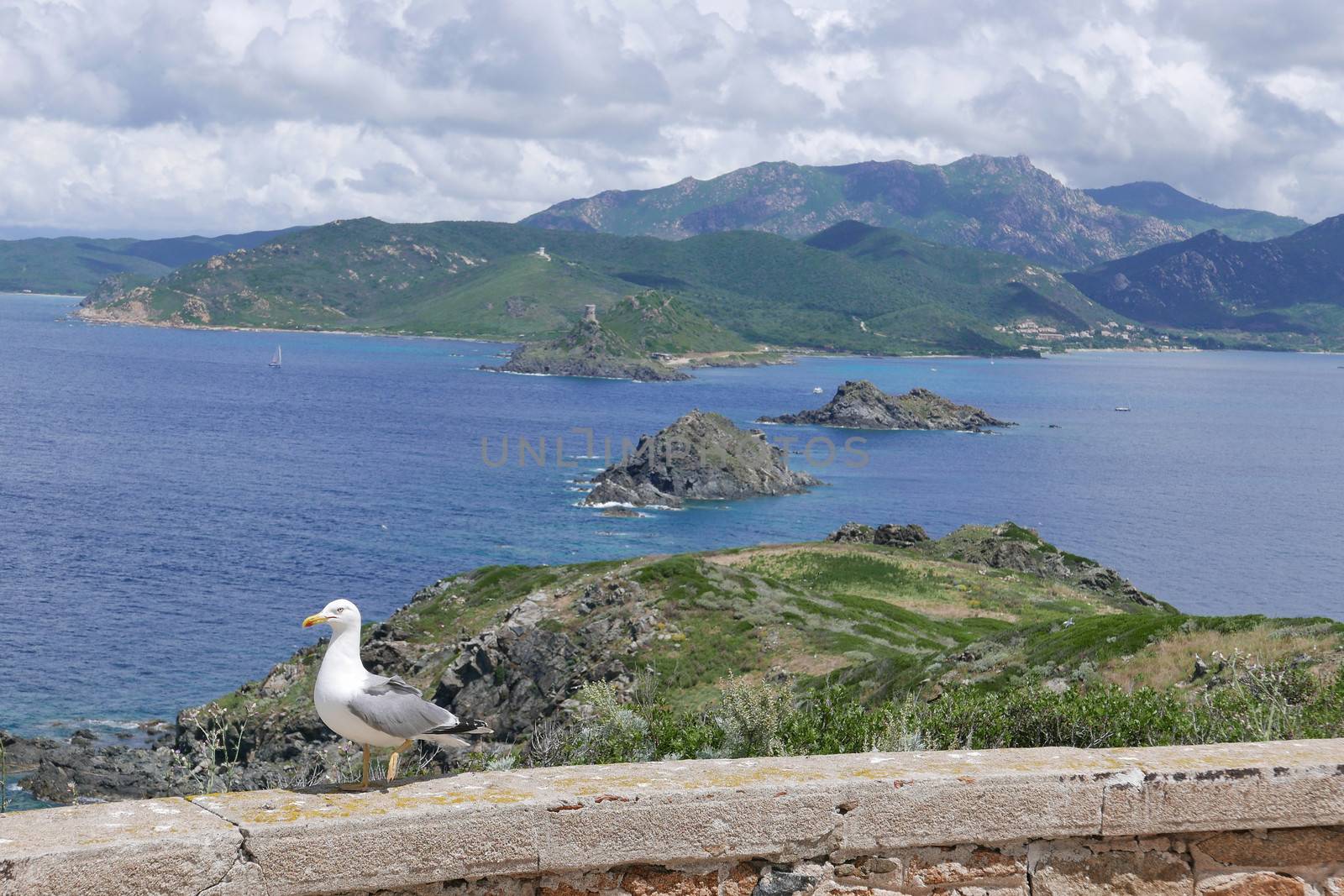 Holidays in southern Corsica.
Discovery of the Sanguinaires Islands, next to the city of Ajaccio
