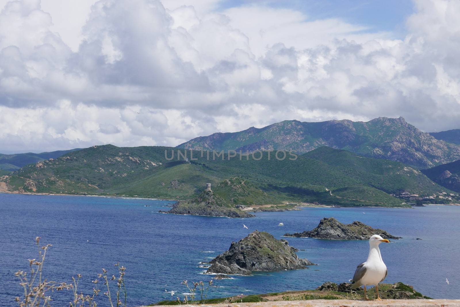 Holidays in southern Corsica.
Discovery of the Sanguinaires Islands, next to the city of Ajaccio