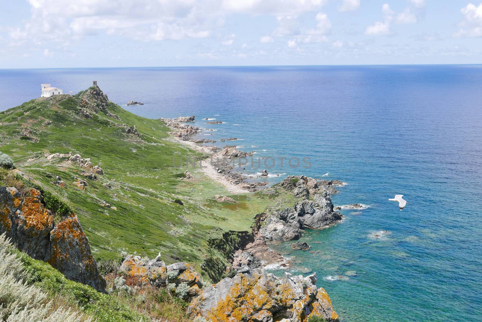 Holidays in southern Corsica.
Discovery of the Sanguinaires Islands, next to the city of Ajaccio