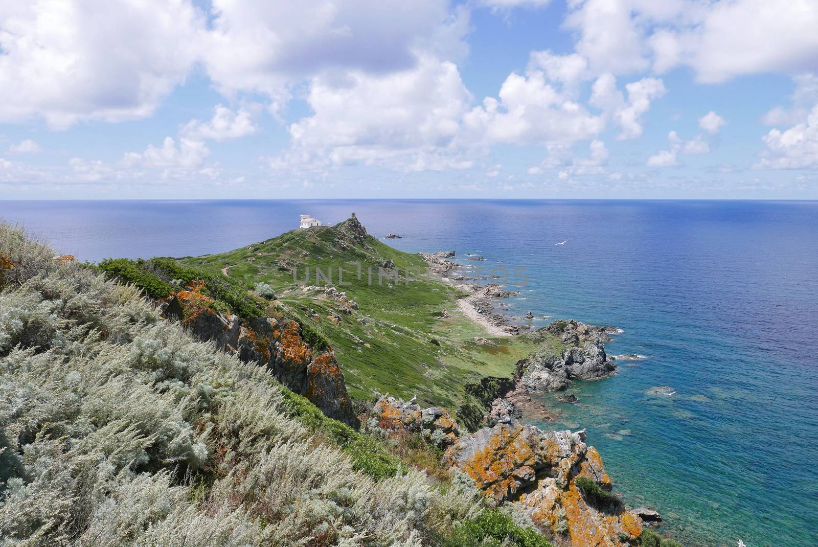Holidays in southern Corsica.
Discovery of the Sanguinaires Islands, next to the city of Ajaccio