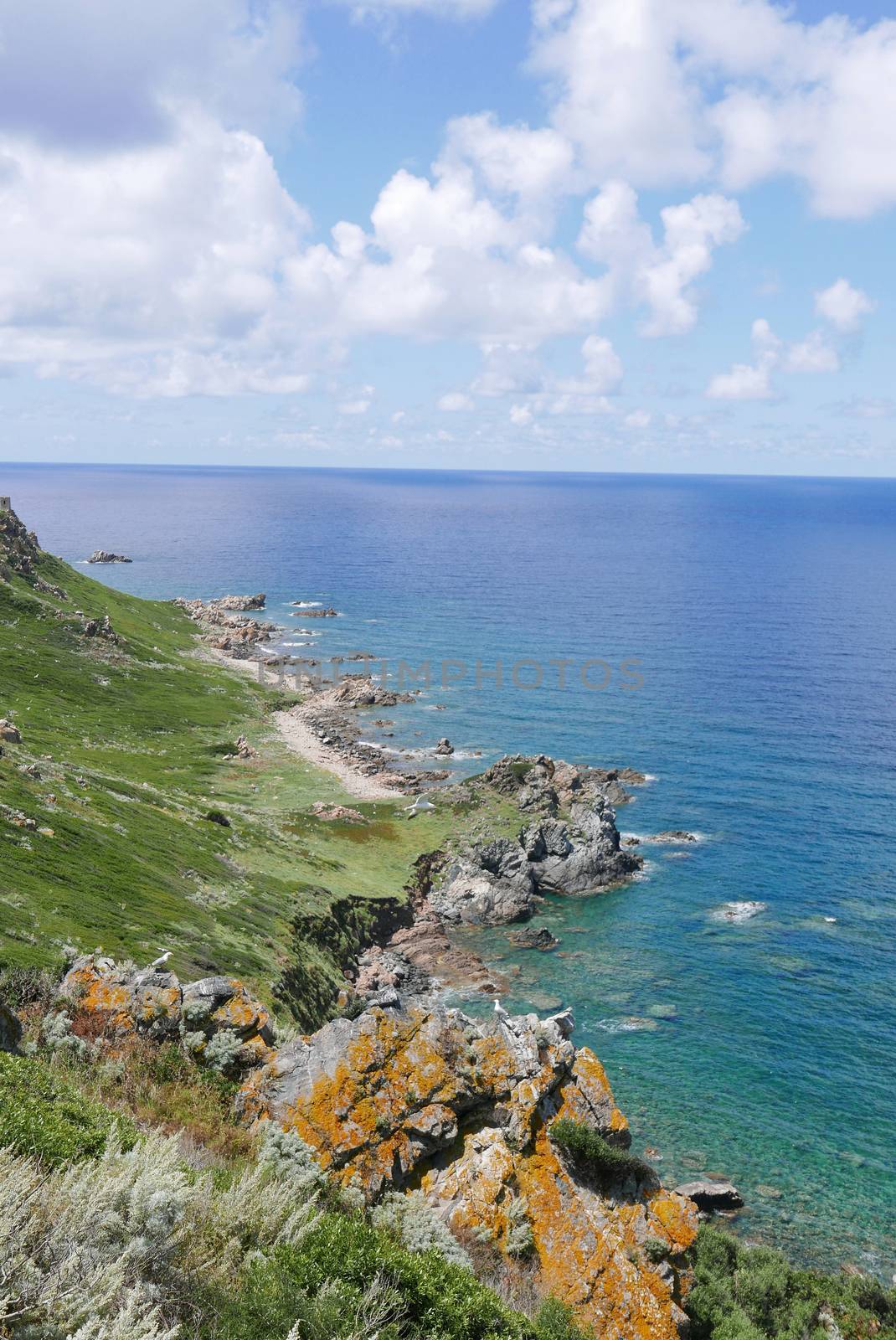 Holidays in southern Corsica.
Discovery of the Sanguinaires Islands, next to the city of Ajaccio